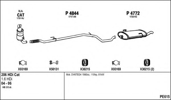 FENNO PE615 Exhaust System